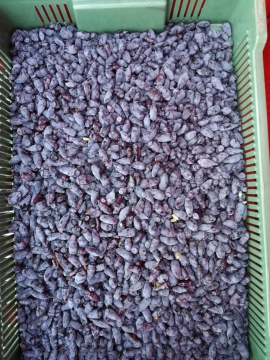 tn_IMG_20180605_090236